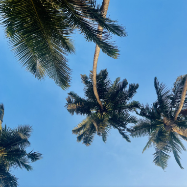 screenshot 2026 03 25 133931.png